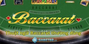 Các thuật ngữ trong Baccarat